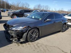 2023 Lexus ES 350 Base en venta en Marlboro, NY