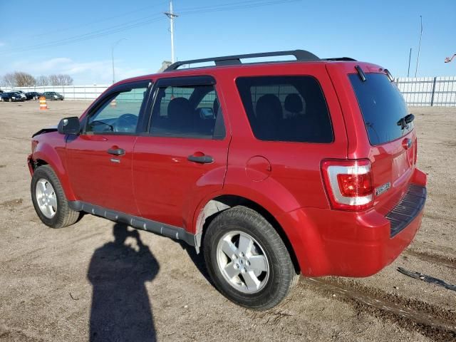 2010 Ford Escape XLT