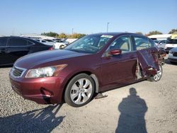 Salvage cars for sale from Copart Sacramento, CA: 2008 Honda Accord EX