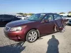 2008 Honda Accord EX