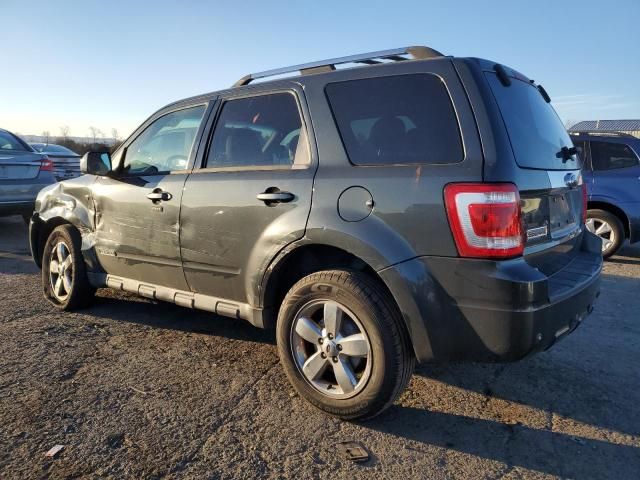 2008 Ford Escape Limited