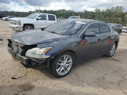 2013 Nissan Maxima S en venta en Greenwell Springs, LA