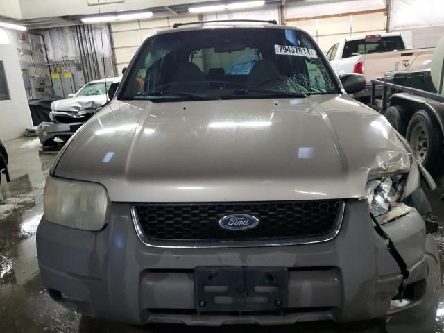 2001 Ford Escape XLT