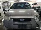 2001 Ford Escape XLT