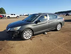 Salvage cars for sale at Longview, TX auction: 2013 Honda Accord EX