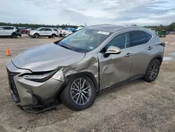 Lexus nx 350h ba Vehiculos salvage en venta: 2025 Lexus NX 350H Base