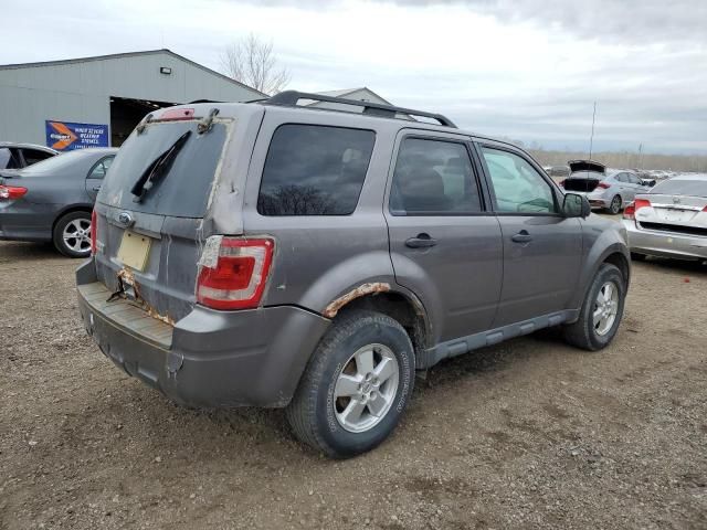 2010 Ford Escape XLT