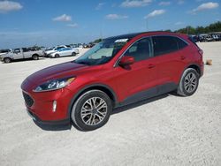 Vehiculos salvage en venta de Copart Arcadia, FL: 2021 Ford Escape SEL