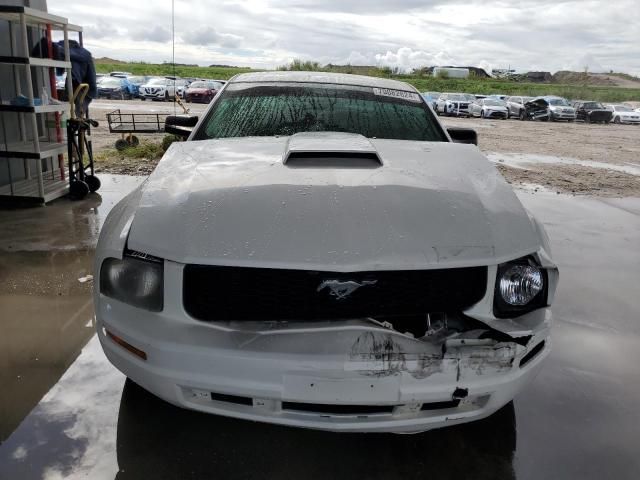 2005 Ford Mustang