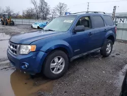 Salvage cars for sale at Chicago Heights, IL auction: 2008 Ford Escape XLT