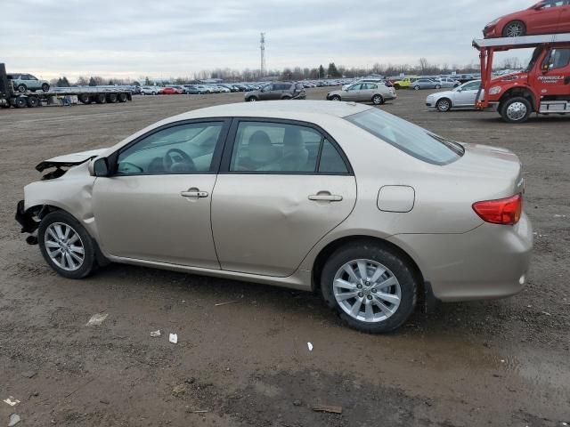 2010 Toyota Corolla Base