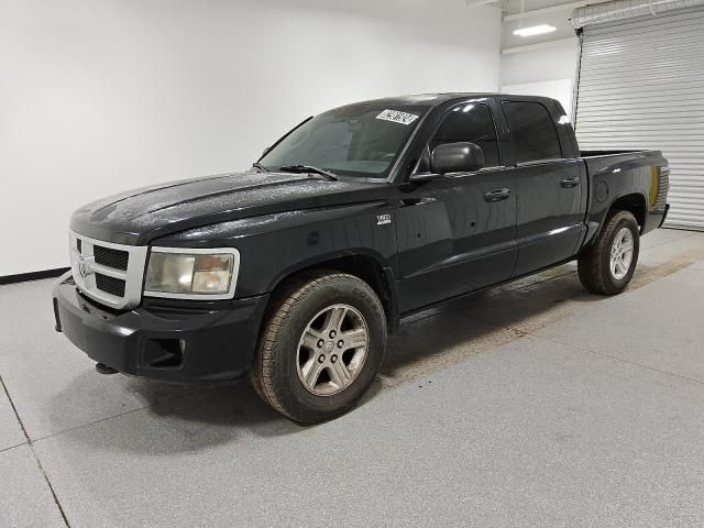 2010 Dodge Dakota SXT