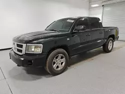 Dodge Dakota sxt salvage cars for sale: 2010 Dodge Dakota SXT