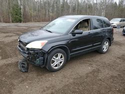 2010 Honda CR-V EXL en venta en Cookstown, ON