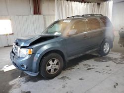 Salvage cars for sale at Albany, NY auction: 2012 Ford Escape XLT