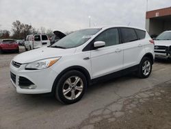 Salvage cars for sale from Copart Fort Wayne, IN: 2014 Ford Escape SE