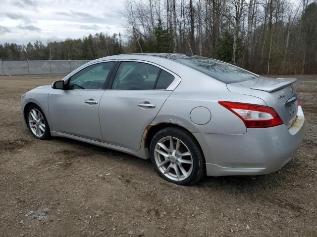 2009 Nissan Maxima S