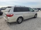 2005 Honda Odyssey EXL