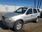 2007 Ford Escape HEV