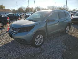 Salvage cars for sale at Columbus, OH auction: 2014 Honda CR-V EXL