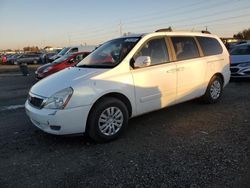 KIA Sedona lx Vehiculos salvage en venta: 2011 KIA Sedona LX