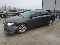 Salvage cars for sale at Lawrenceburg, KY auction: 2010 Chevrolet Malibu LS