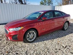 Salvage cars for sale at Baltimore, MD auction: 2019 Ford Fusion SE