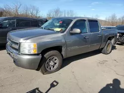 Salvage cars for sale at Marlboro, NY auction: 2009 Chevrolet Silverado K1500 LT