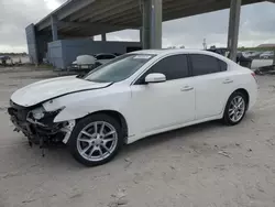 2010 Nissan Maxima S en venta en West Palm Beach, FL