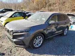 2024 Honda CR-V EXL en venta en Marlboro, NY