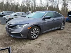 Honda Civic ex salvage cars for sale: 2020 Honda Civic EX