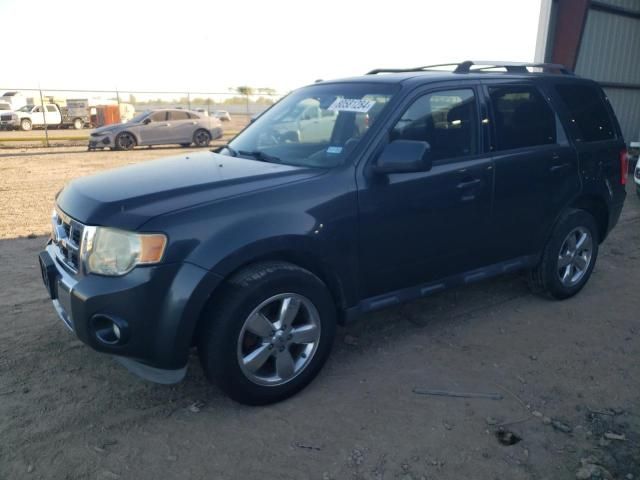 2009 Ford Escape Limited