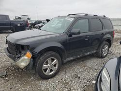 2010 Ford Escape Limited en venta en Earlington, KY