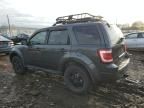 2008 Ford Escape XLS