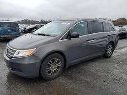 Honda Odyssey exl salvage cars for sale: 2013 Honda Odyssey EXL