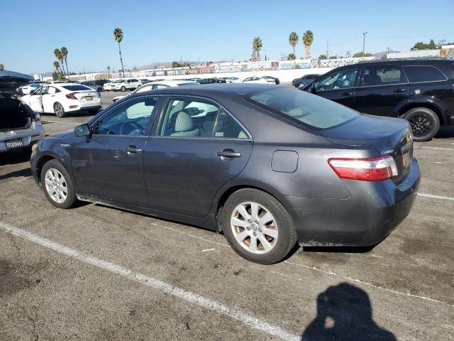 2009 Toyota Camry Hybrid