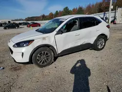 Salvage SUVs for sale at auction: 2022 Ford Escape SE