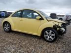 2006 Volkswagen New Beetle TDI