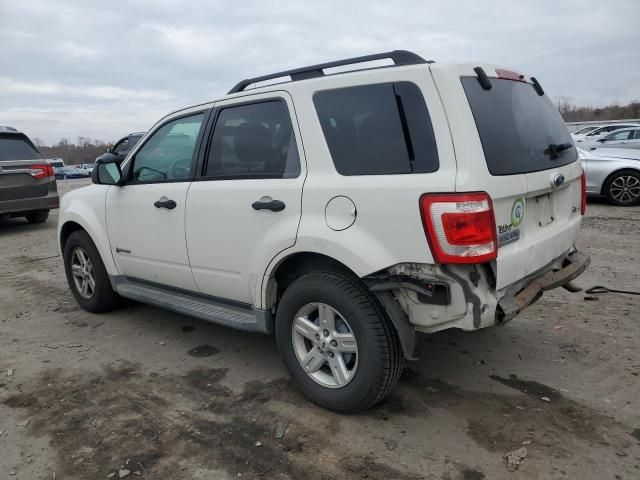 2009 Ford Escape Hybrid