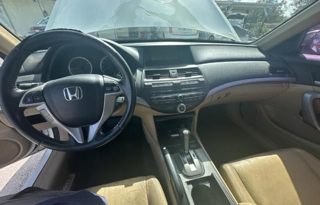 2011 Honda Accord EXL