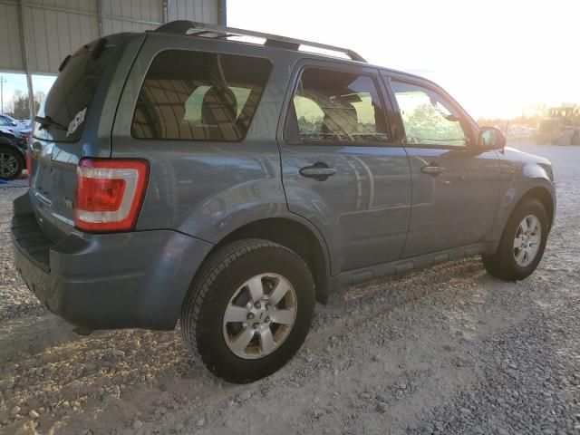 2010 Ford Escape Limited