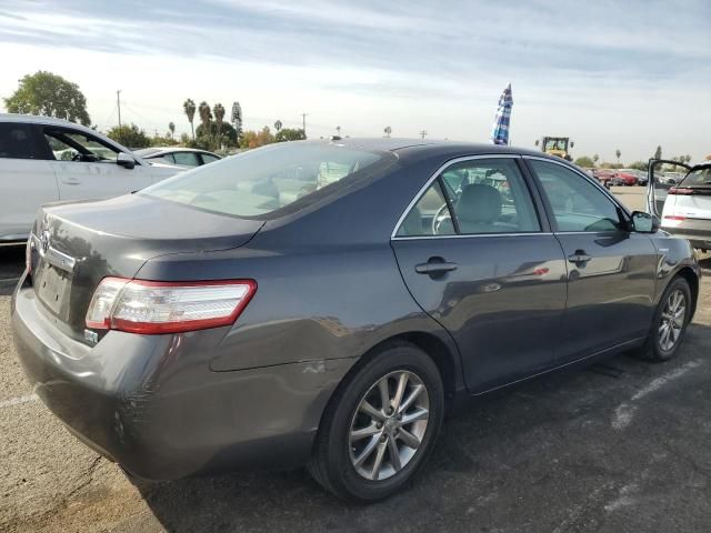 2011 Toyota Camry Hybrid