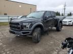 2019 Ford F150 Raptor