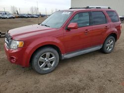 Ford salvage cars for sale: 2010 Ford Escape Limited