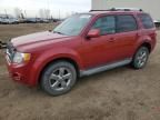 2010 Ford Escape Limited