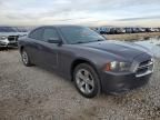 2013 Dodge Charger SE