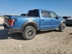 2019 Ford F150 Raptor