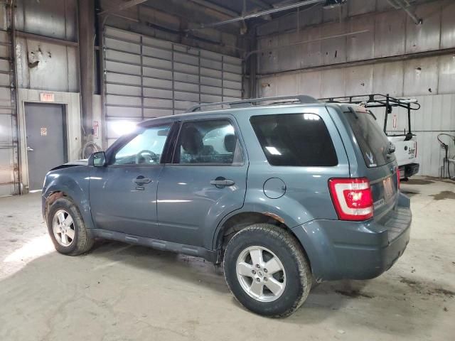 2011 Ford Escape XLT