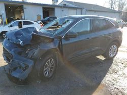 Salvage cars for sale at York Haven, PA auction: 2022 Ford Escape SE