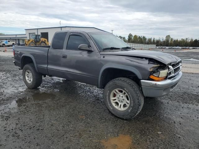 2004 Dodge Dakota SLT